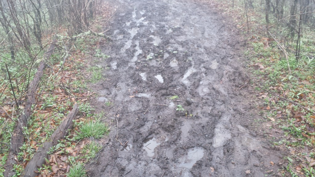 Muddy trail 1