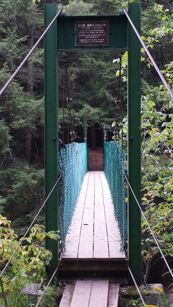 Another fun suspension bridge