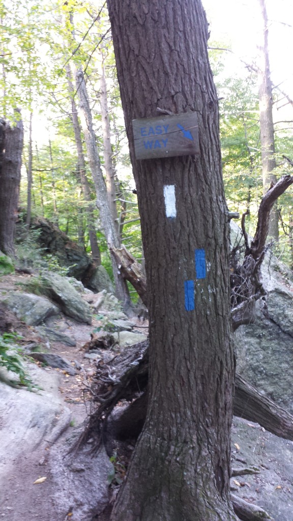 Trail variety 8: easy way around a tricky cliff, for those so inclined (not me!)