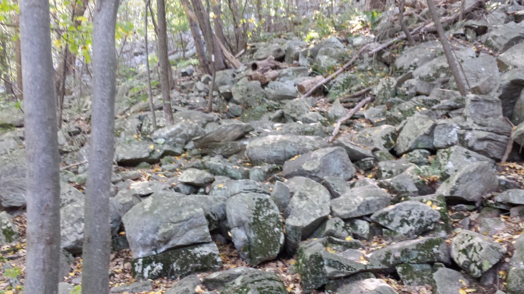 Trail variety 2: lots of rocky terrain in NY, NJ and PA