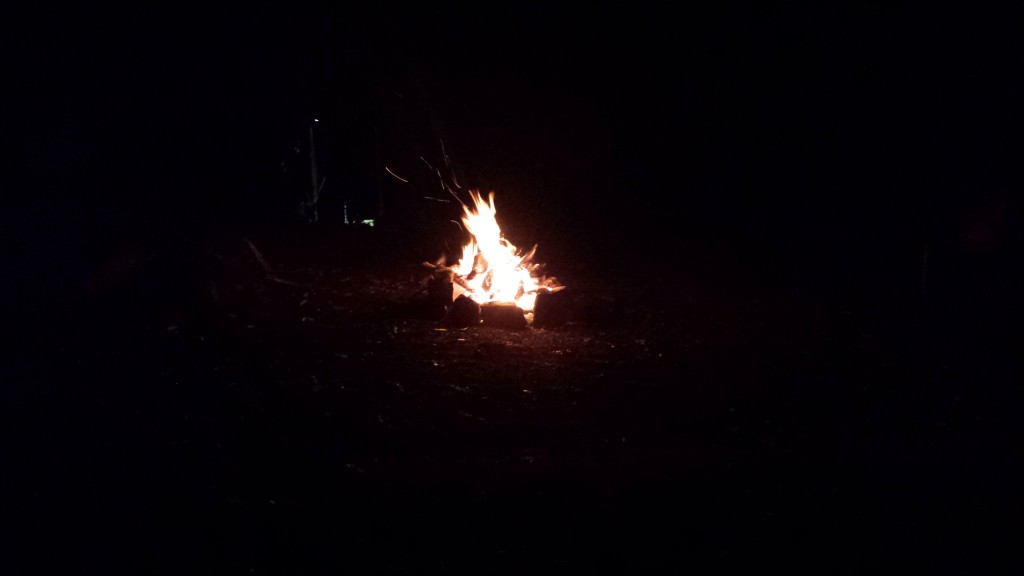 Love a good campfire
