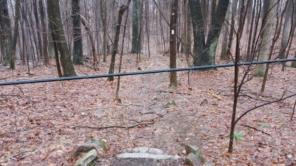 A first for me: downed powerline blocking the trail on day five