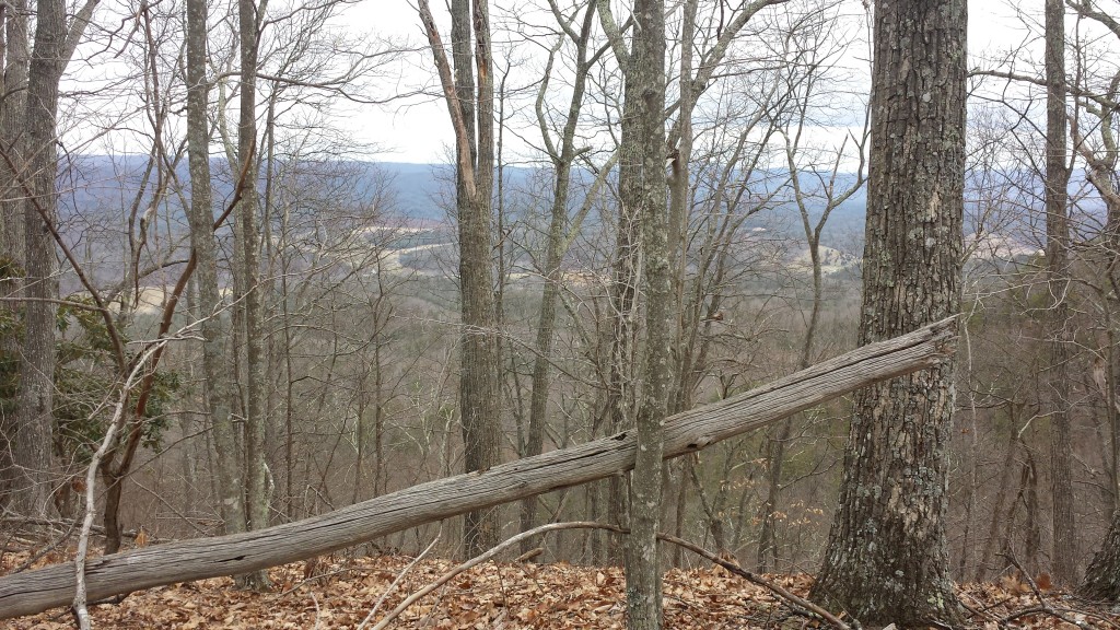 Typical AT view from a Virginia ridge- always another blue ridgeline in the distance