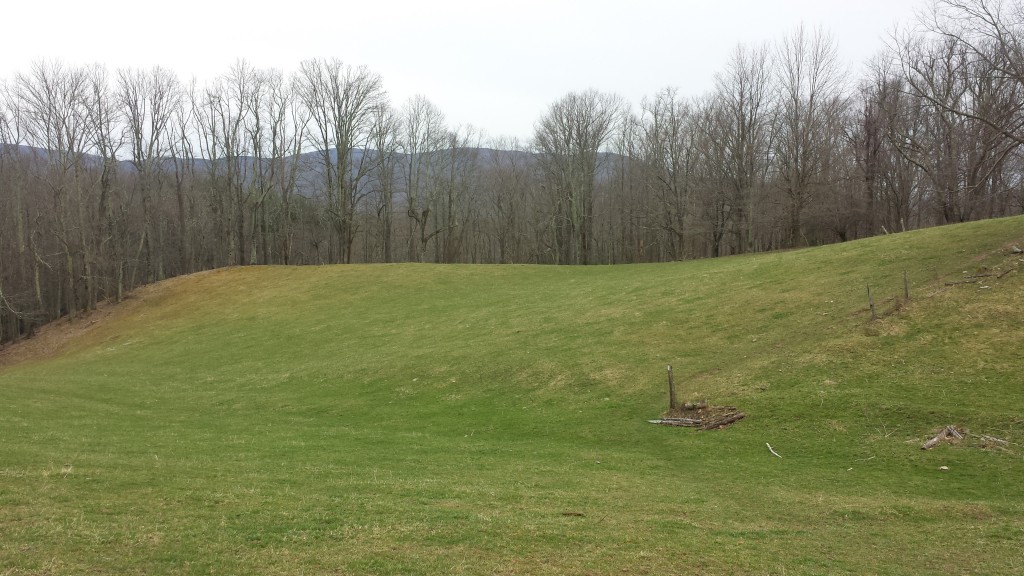 Virginia mountain side field