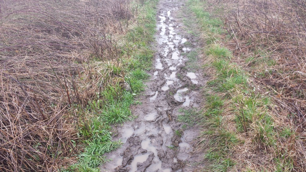 Muddy trail 2