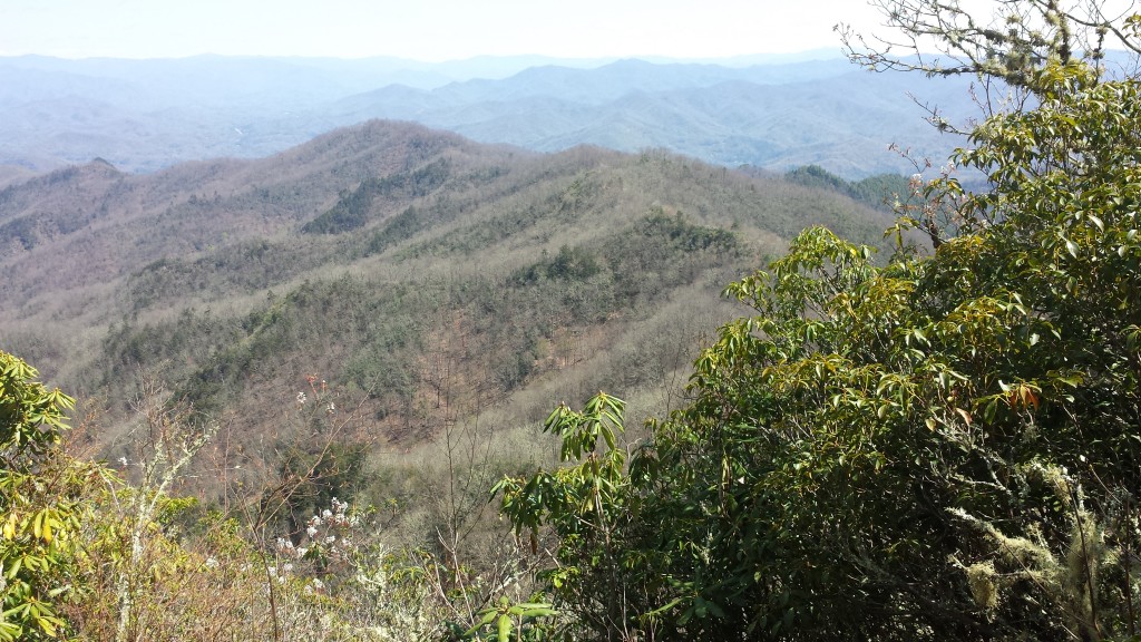 Rolling hills, North Carolina style
