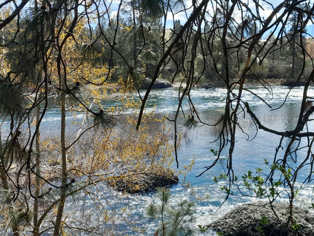 spokane-river-2